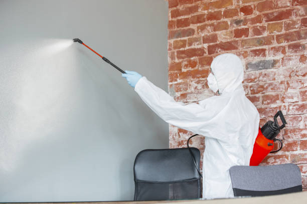 Best Mold Damage Restoration  in Culver City, CA
