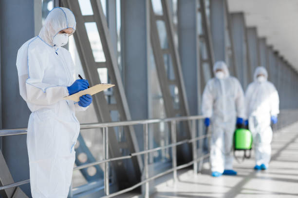 Best Emergency Mold Remediation  in Culver City, CA