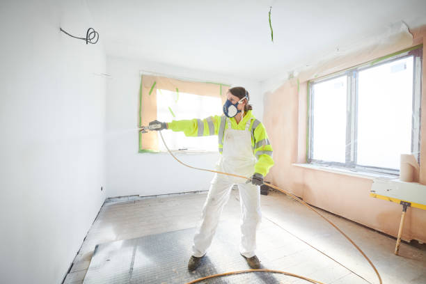 Best Basement Mold Removal  in Culver City, CA