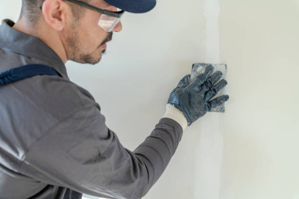 Forensic Mold Investigation in Culver City, CA