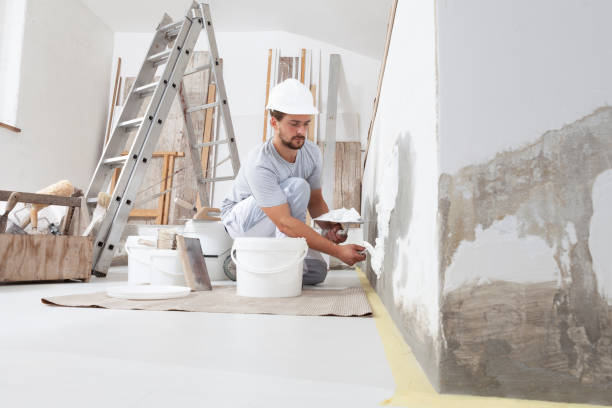 Best Industrial Mold Remediation  in Culver City, CA