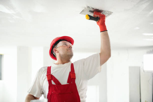 Best Environmental Consulting for Mold Prevention  in Culver City, CA