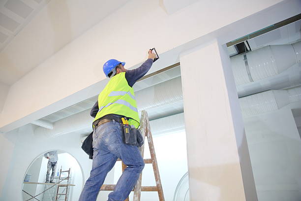  Culver City, CA Mold Removal Pros