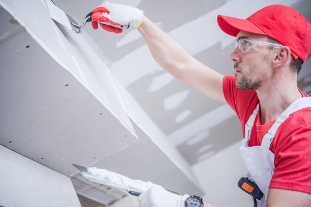 Best Mold Remediation for Healthcare Facilities  in Culver City, CA
